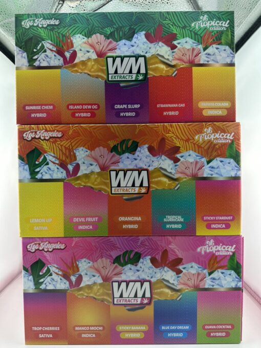 v6 whole melt disposable