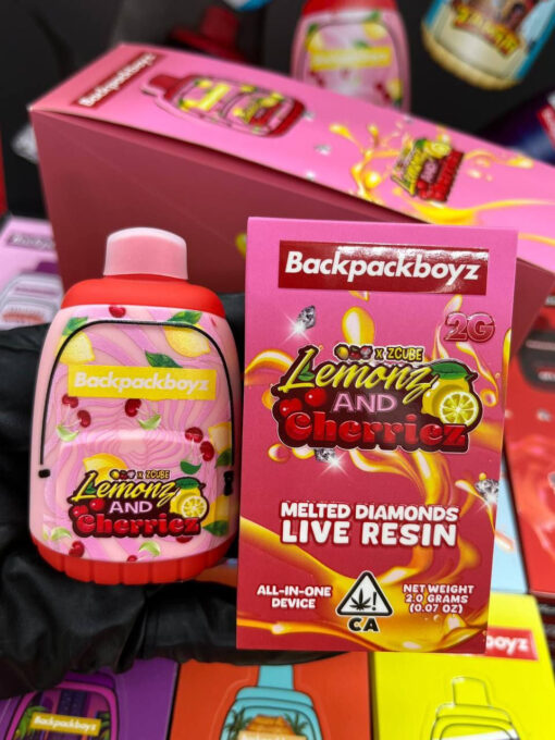 backpack boyz disposable