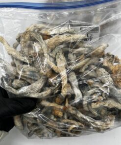 penis envy shrooms