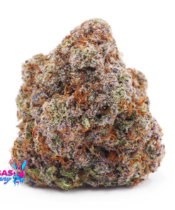guava cake weed