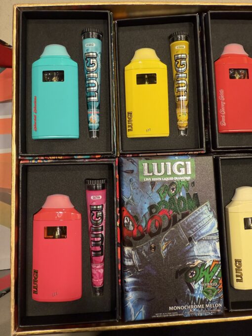 luigi 2g disposable