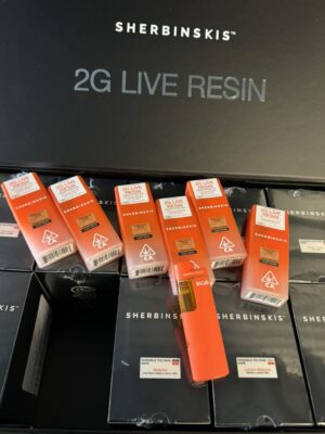 sherbinskis disposable