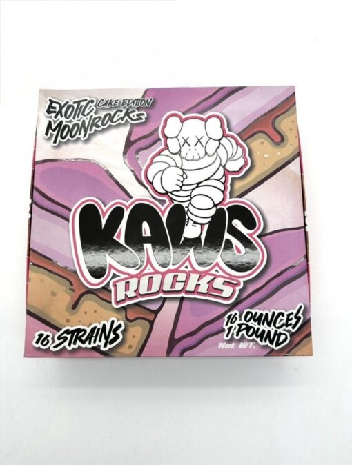 kaws rock