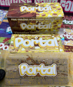 portal mushroom chocolates