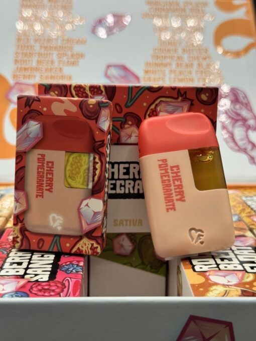 favorites 2g minis orange box