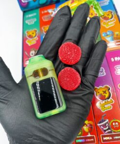 buddah bear 3 in 1 disposable