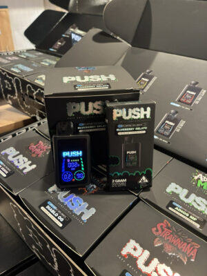 push 2g disposable with screen