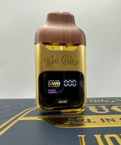big chief duo v2 batch 2 disposable