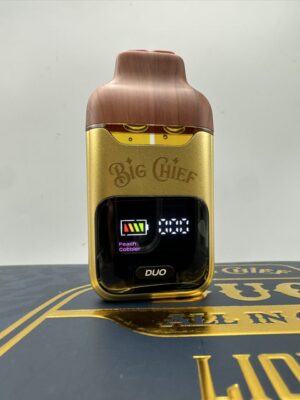 big chief duo v2 batch 2 disposable